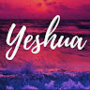 Meet your Posher, Ves